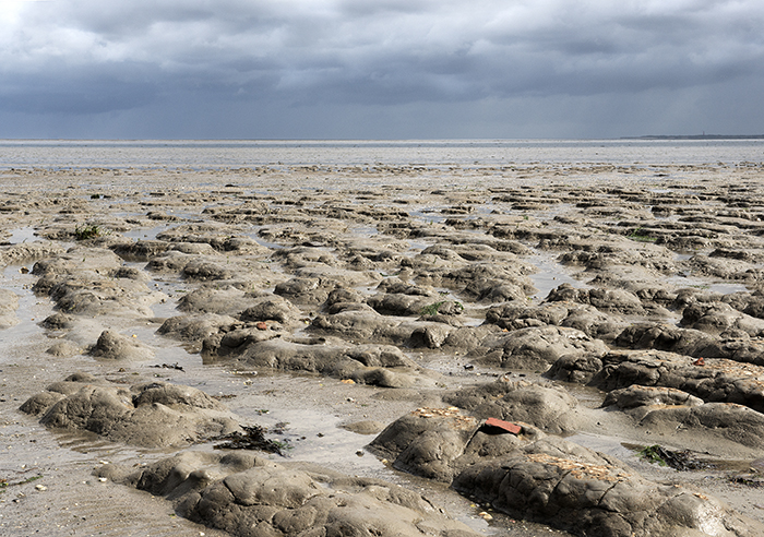 Bodem Waddenzee Moddergat Nomad&Villager