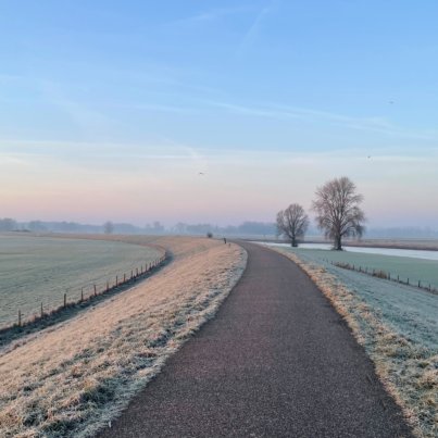 Ik ben gaan hardlopen om de onrust uit mijn lijf te halen. Na alle berichten over ICE en het vorderen van Groenland heb ik behoefte aan Give me hope Jo'anna.