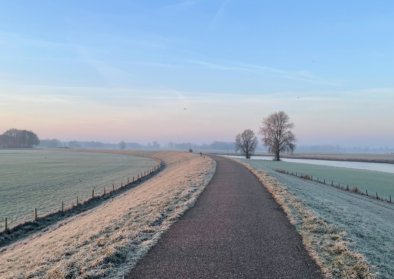 Give me hope Jo’anna